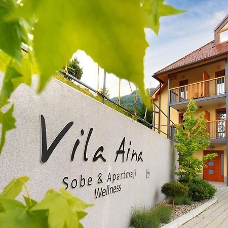 Villa Aina Boutique Hotel Laško Kültér fotó