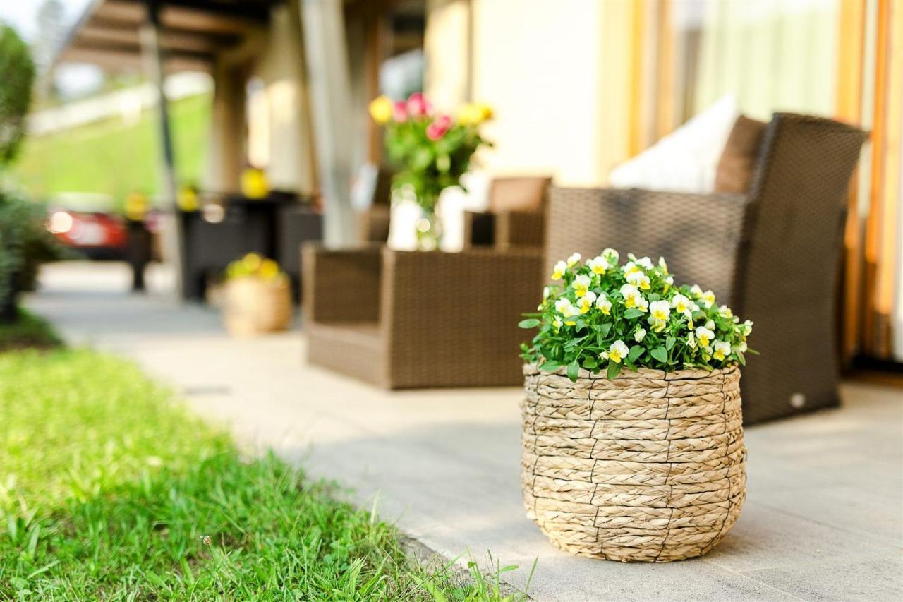 Villa Aina Boutique Hotel Laško Kültér fotó